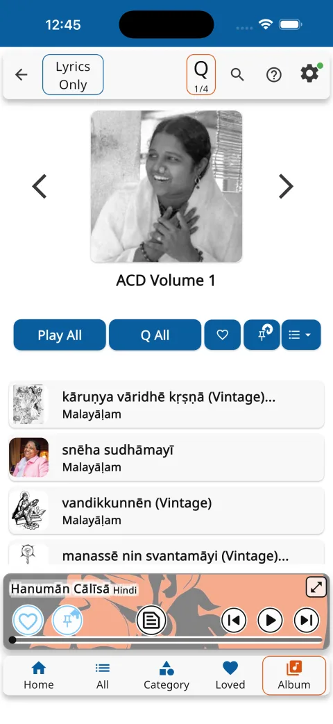Album view with Play All and Queue All
